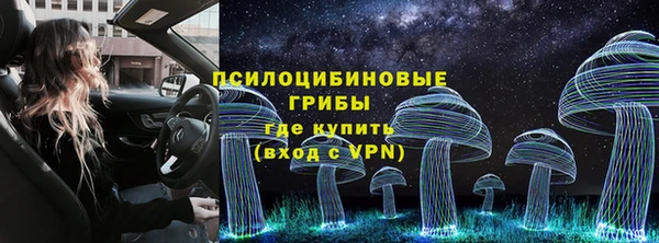 спайс Алзамай